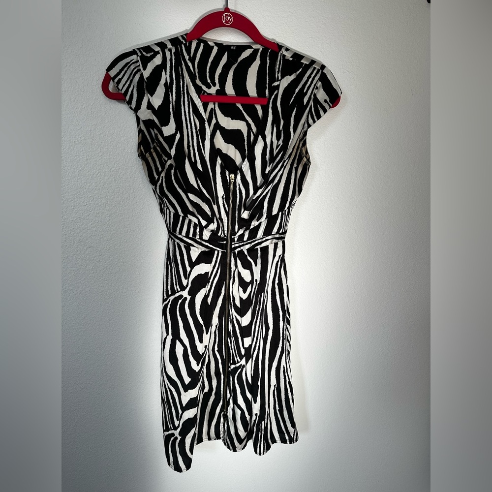 H&M Zebra Dress